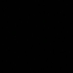 Meet your Posher, Madelyn